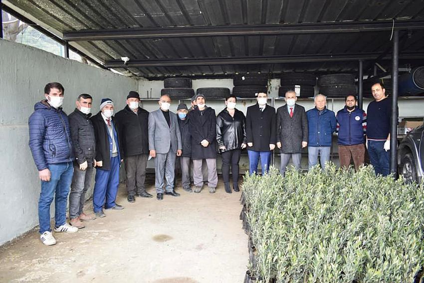 Yakakent'te Zeytin Fidanı Dağıtımı 