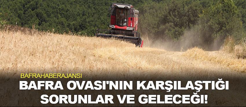 Bafra Ovası'nın karşılaştığı sorunlar ve geleceği