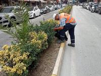 Bafra'da park ve yeşil alanlarda çalışmalarını sürdürüyor.