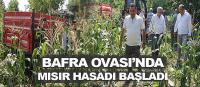 Bafra Ovası'nda mısır hasadı başladı