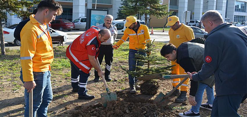 Bafra Devlet Hastanesi bahçesine fidan dikildi