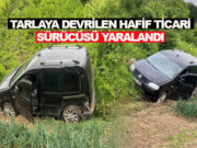 Bafra’da Trafik Kazası, Sürücü Tarlaya Uçtu