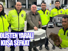 Bafra’da yaralı kuşu polis ekipleri kurtardı