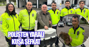 Bafra’da yaralı kuşu polis ekipleri kurtardı