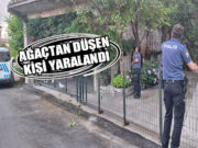 Bafra’da Ağaçtan Düşen Kişi Ağır Yaralandı