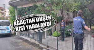 Bafra’da Ağaçtan Düşen Kişi Ağır Yaralandı