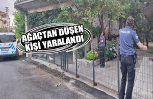 Bafra’da Ağaçtan Düşen Kişi Ağır Yaralandı