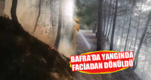 Bafra’da Piknik Alanında Yangın Çıktı