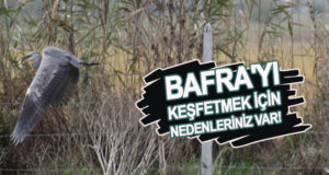 Bafra’yı keşfetmeniz için nedenleriniz var!