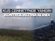 Bafra Kuş Cenneti’nde Yangın Çıktı!