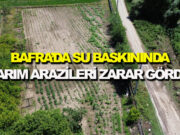 Bafra’da tarım arazileri zarar gördü