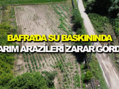 Bafra’da tarım arazileri zarar gördü