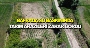 Bafra’da tarım arazileri zarar gördü