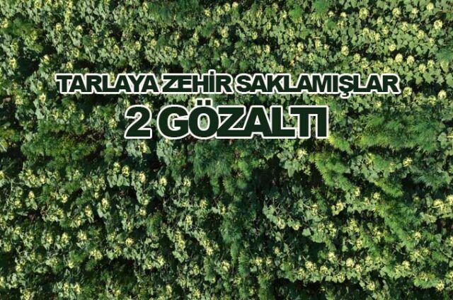 zeh