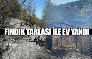 Bafra’da Fındık Tarlası Yandı, Bir Ev Kül Oldu