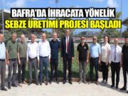 Bafra’da İhracata Yönelik Sebze Üretimi Projesi Başladı