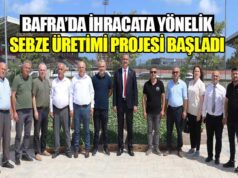 Bafra’da İhracata Yönelik Sebze Üretimi Projesi Başladı