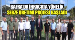 Bafra’da İhracata Yönelik Sebze Üretimi Projesi Başladı