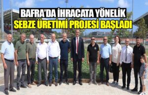 Bafra’da İhracata Yönelik Sebze Üretimi Projesi Başladı