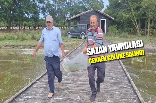 çernek