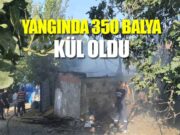 Alaçam’da 350 adet saman balya yandı