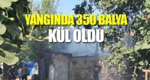 Alaçam’da 350 adet saman balya yandı