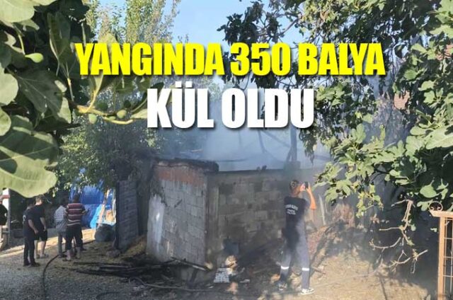 yangın
