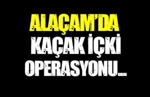 Alaçam’da kaçak alkol operasyonunda 1 kişi yakalandı