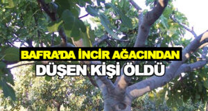 Bafra’da incir ağacından düşen kişi öldü