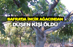 Bafra’da incir ağacından düşen kişi öldü