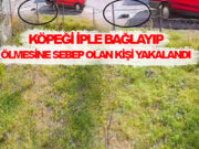 Bafra’da Köpeği Zincirle Sürükleyen Sürücü Gözaltına Alındı