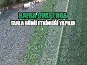 Bafra Ovası’nda Yeni Lahanagilleri Çiftçilerle Buluşturdu