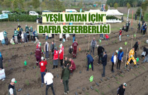 Bafra’dan Çifte Çevre Hamlesi: 8 Bin Biberiye Fidesi Dikildi!