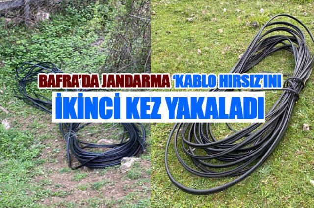 jandamra