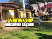 Bafra’da Kokarca İle kış Mücadelesi Başladı