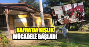 Bafra’da Kokarca İle kış Mücadelesi Başladı