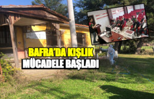 Bafra’da Kokarca İle kış Mücadelesi Başladı