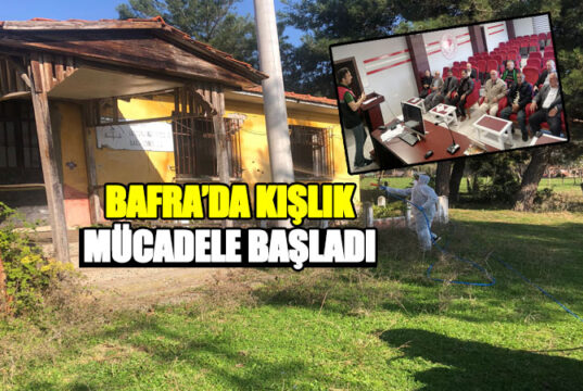 Bafra’da Kokarca İle kış Mücadelesi Başladı