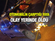 Engiz’de otomobilin çarptığı yaya öldü