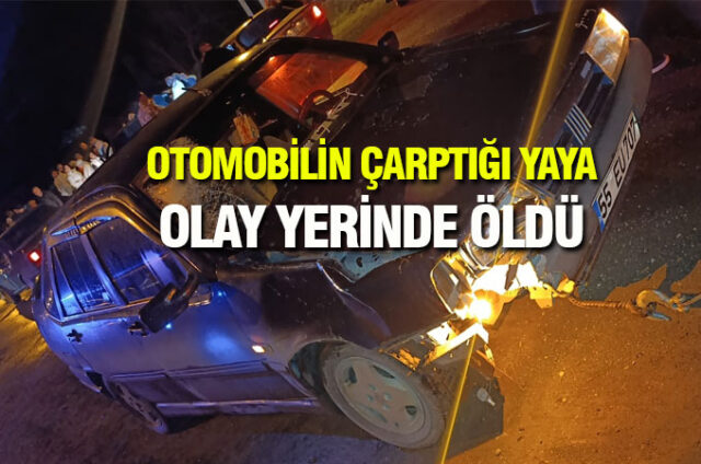 OTOMOBİLİN-ÇARPTIĞI-YAYA-ÖLDÜ