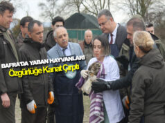 Bafra’da Yaban Hayvanları Özgürlüğe Kanat Çırptı