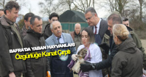 Bafra’da Yaban Hayvanları Özgürlüğe Kanat Çırptı