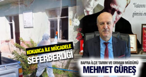 Bafra’da Kahverengi Kokarca ile Mücadele Seferberliği