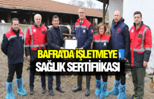 Bafra’da Hayvancılığa Sertifikalı Güç