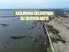 Bafra Kızılırmak Deltası’nda Yağış Bereketi