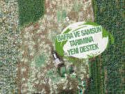 Bafra ve Samsun Tarımına Yeni Hibe Desteği