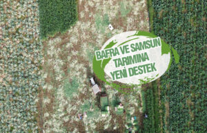 Bafra ve Samsun Tarımına Yeni Hibe Desteği