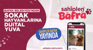 Bafra’da Patili Dostlara Yuva