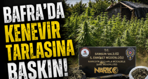Bafra’da Uyuşturucu Operasyonu 1 Tutuklama