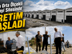 Orta Ölçekli Sanayi Sitesinde üretim başladı